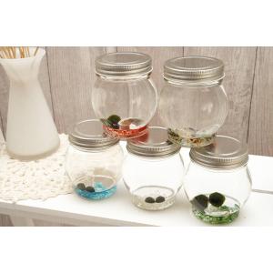 マリモ 育て方の商品一覧 通販 Yahoo ショッピング