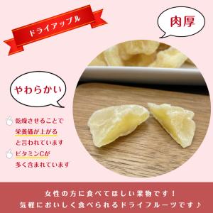 ドライ アップル 500g 半生 肉厚 乾燥果...の詳細画像4