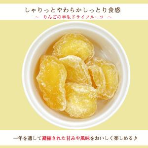 ドライ アップル 500g 半生 肉厚 乾燥果...の詳細画像3