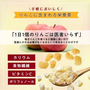 ドライ アップル 500g 半生 肉厚 乾燥果...の詳細画像2