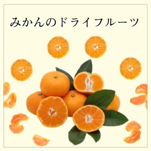ドライ みかん 500g フルーツ マンダリン...の詳細画像1