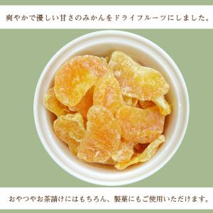 ドライ みかん 500g フルーツ マンダリン...の詳細画像4