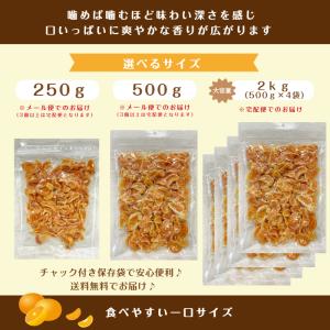 ドライ みかん 500g フルーツ マンダリン...の詳細画像5