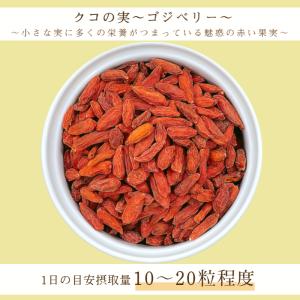 クコの実 500g 保存料無添加 無油 薬膳 ...の詳細画像4