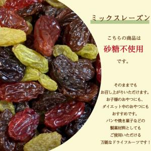 ミックス レーズン 1kg (500g×2袋)...の詳細画像1
