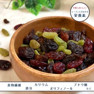 ミックス レーズン 1kg (500g×2袋)...の詳細画像5