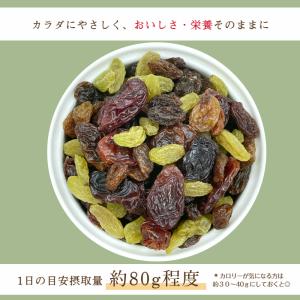 ミックス レーズン 1kg (500g×2袋)...の詳細画像4