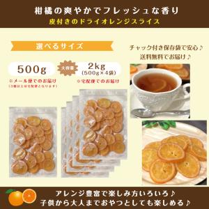 ドライ オレンジ スライス 500g フルーツ...の詳細画像3