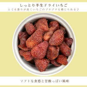 ドライ ストロベリー 500g いちご イチゴ...の詳細画像3
