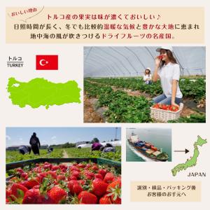 ドライ ストロベリー 500g いちご イチゴ...の詳細画像2