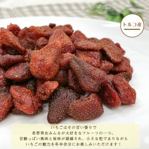 ドライ ストロベリー 500g いちご イチゴ...の詳細画像5