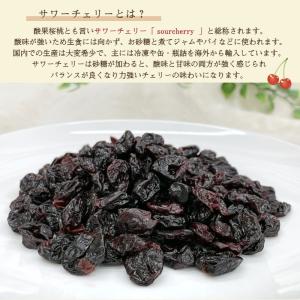 ドライ サワー チェリー 500g さくらんぼ...の詳細画像1
