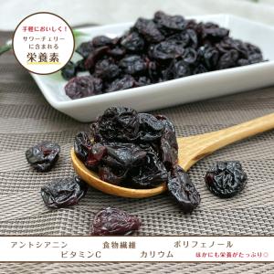 ドライ サワー チェリー 500g さくらんぼ...の詳細画像4