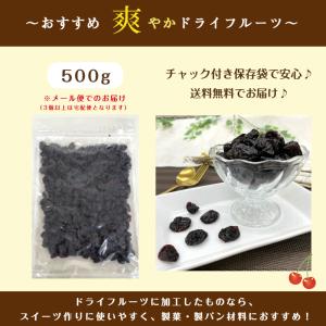 ドライ サワー チェリー 500g さくらんぼ...の詳細画像5