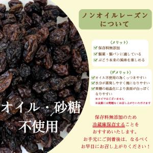 ノンオイル レーズン 900g 保存料無添加 ...の詳細画像1