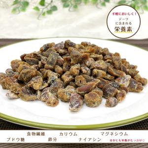 ドライ デーツ ダイス カット 10mm 90...の詳細画像2