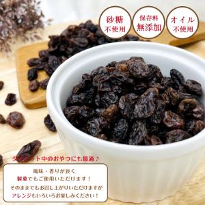 ノンオイル レーズン 3kg (1kg×3袋)...の詳細画像3