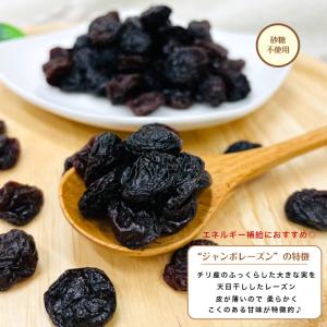 ジャンボ レーズン 1kg (500g×2袋)...の詳細画像4