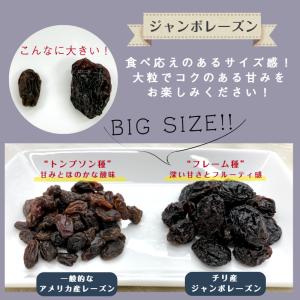 ジャンボ レーズン 1kg (500g×2袋)...の詳細画像2