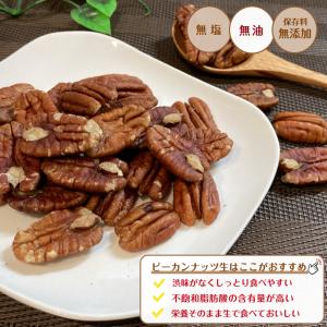 ピーカンナッツ 生 500g 無塩 保存料無添...の詳細画像1