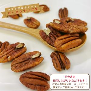 ピーカンナッツ 生 500g 無塩 保存料無添...の詳細画像3
