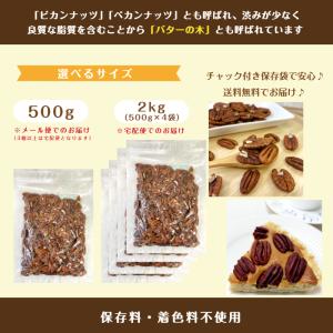 ピーカンナッツ 生 500g 無塩 保存料無添...の詳細画像4