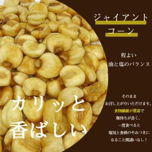 ジャイアントコーン 500g ナッツ お菓子 ...の詳細画像1