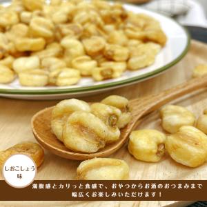 ジャイアントコーン 500g ナッツ お菓子 ...の詳細画像2