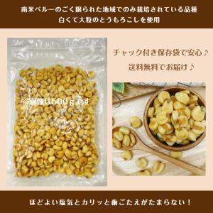 ジャイアントコーン 500g ナッツ お菓子 ...の詳細画像4