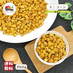 ミニコーン 塩味 250g ジャイアントコーン ミニ トウモロコシ とうもろこし スナック 塩味 有塩 塩あり 味付 お試し メール便 送料無料