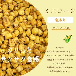 ミニコーン 塩味 250g ジャイアントコーン...の詳細画像2