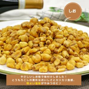 ミニコーン 塩味 250g ジャイアントコーン...の詳細画像3