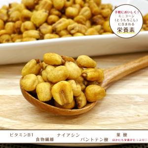 ミニコーン 塩味 250g ジャイアントコーン...の詳細画像4