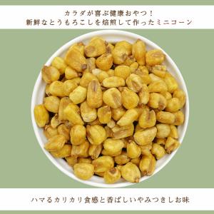 ミニコーン 塩味 250g ジャイアントコーン...の詳細画像5