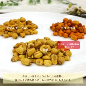 ミニコーン 塩味 250g ジャイアントコーン...の詳細画像1