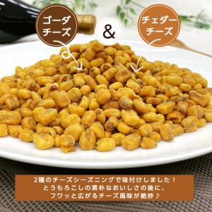 ミニコーン ダブルチーズ味 250g ナッツ ...の詳細画像2