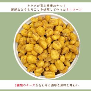 ミニコーン ダブルチーズ味 250g ナッツ ...の詳細画像4