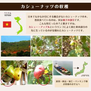 ベトナム産 カシューナッツ 素焼き 5kg (...の詳細画像5