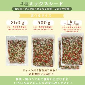 4種 ミックス シード 500g 保存料無添加...の詳細画像4