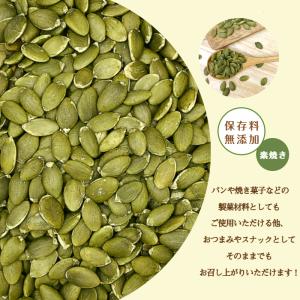 パンプキン シード 素焼き 500g 無塩 無...の詳細画像5