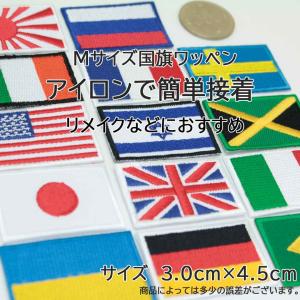 ワッペン アイロン 日本 JAPAN 日の丸 ...の詳細画像2