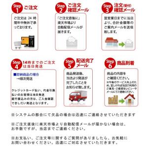 ワッペン アイロン 日本 JAPAN 日の丸 ...の詳細画像4