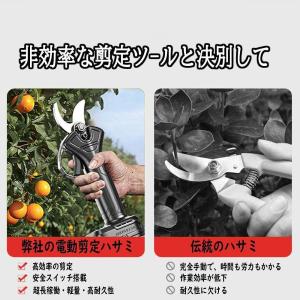 【正規品】剪定ばさみ 充電式 高枝切り マキタ...の詳細画像4