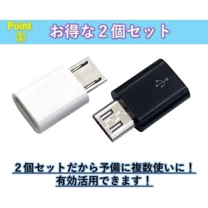Type-C Micro USB 変換アダプタ...の詳細画像1
