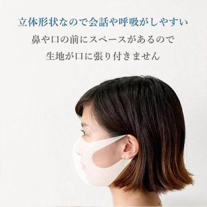 冷感 マスク 冷感マスク 布マスク 洗えるマス...の詳細画像4