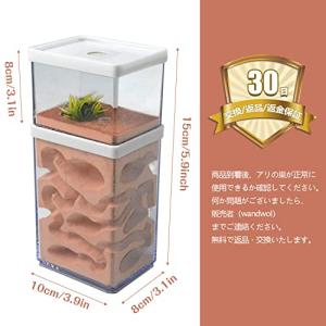 aleawol アリの巣観察キット アリ飼育箱...の詳細画像1