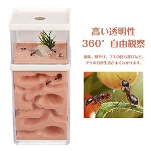 aleawol アリの巣観察キット アリ飼育箱...の詳細画像2