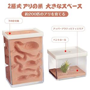 aleawol アリの巣観察キット アリ飼育箱...の詳細画像3