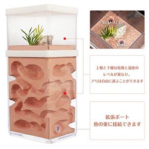 aleawol アリの巣観察キット アリ飼育箱...の詳細画像4