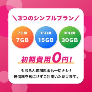 15日プラン プリペイドSIMカード 2週間 ...の詳細画像2